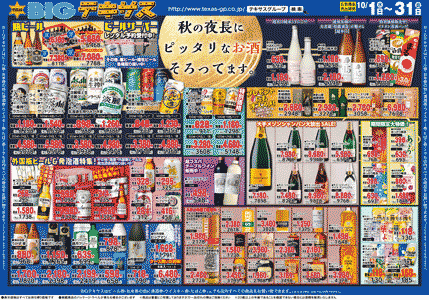 チラシ表面イメージ