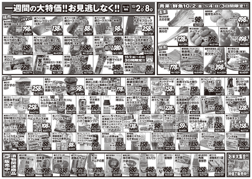 チラシ裏面イメージ