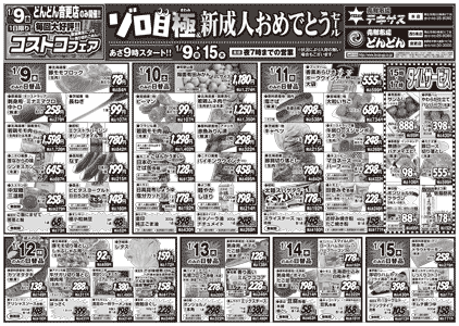 チラシ表面イメージ