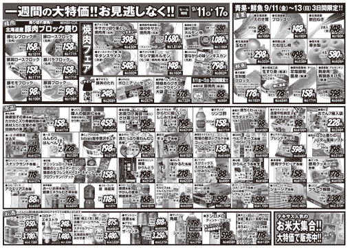 チラシ裏面イメージ