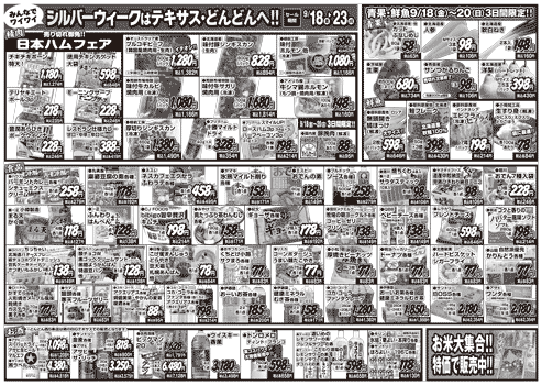 チラシ裏面イメージ